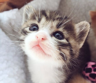 低空無(wú)人機(jī)測(cè)繪:高效、精確、廣泛應(yīng)用的新興技術(shù)